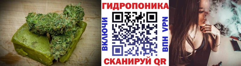Cannafood конопля  купить  цена  Ставрополь 