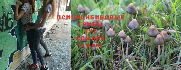 гашик Алзамай